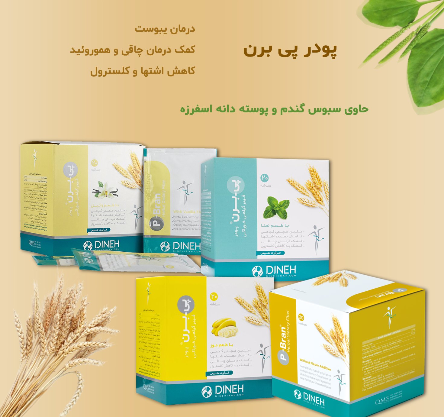 خرید پودر پی برن دینه