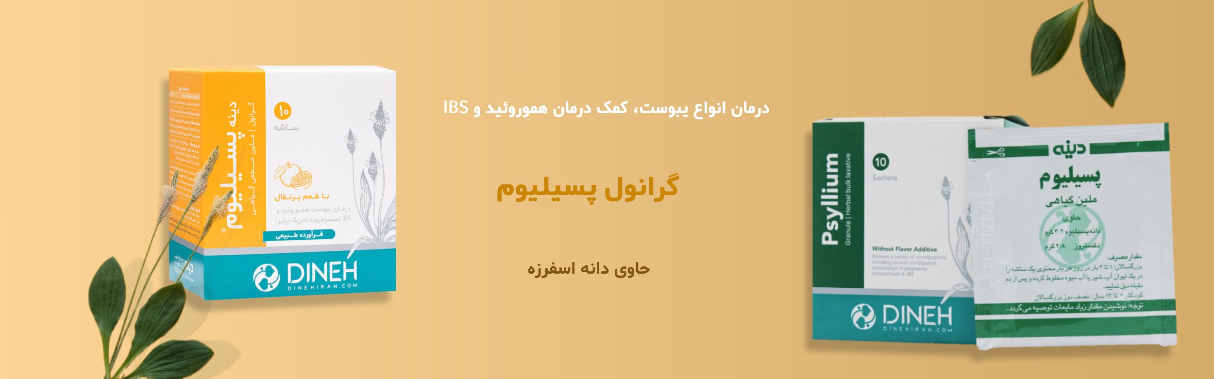 خرید ساشه گرانول پسیلیوم
