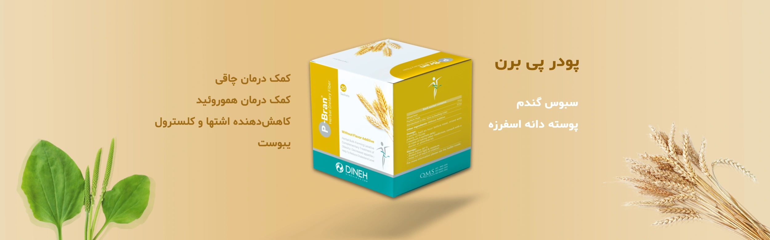 خرید پودر پی برن دینه