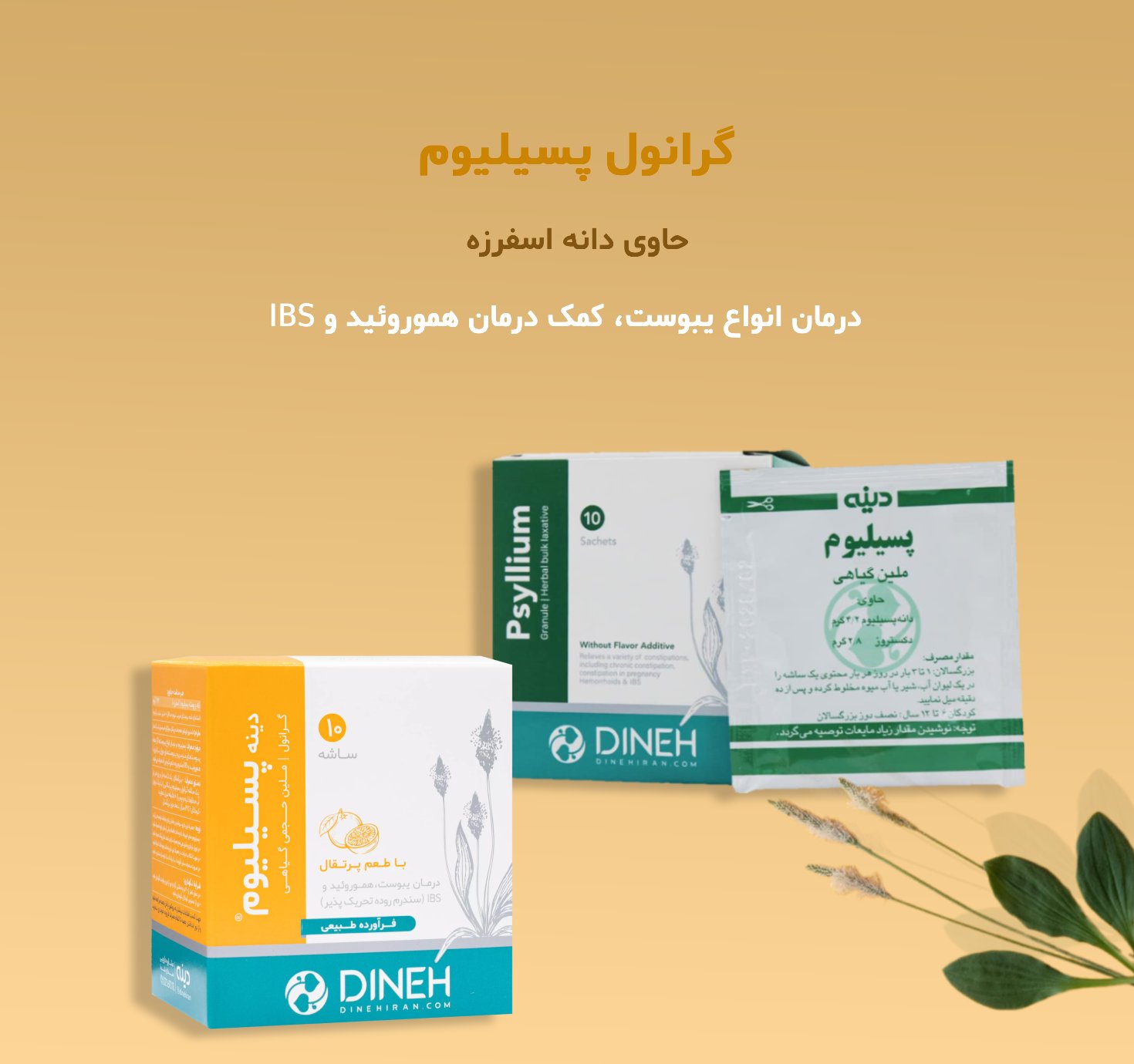 خرید ساشه گرانول پسیلیوم