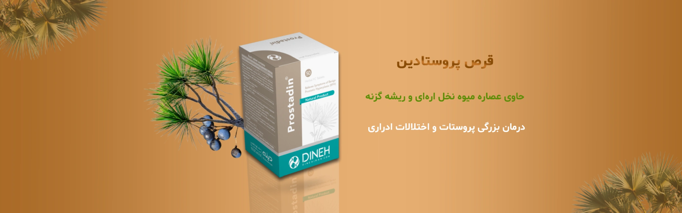 قرص نخل اره ای