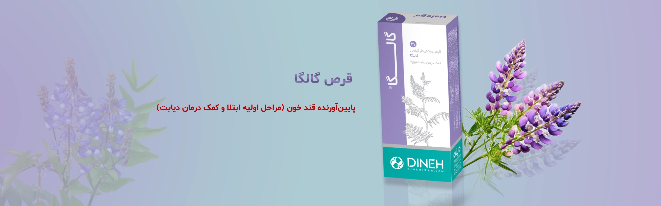 فروش قرص گالگا دینه