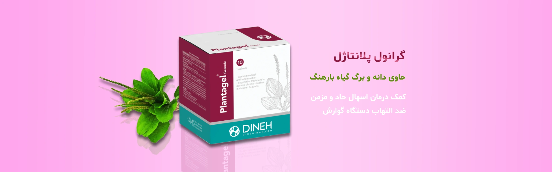 پماد ضد التهاب و سوختگی کالاندولا