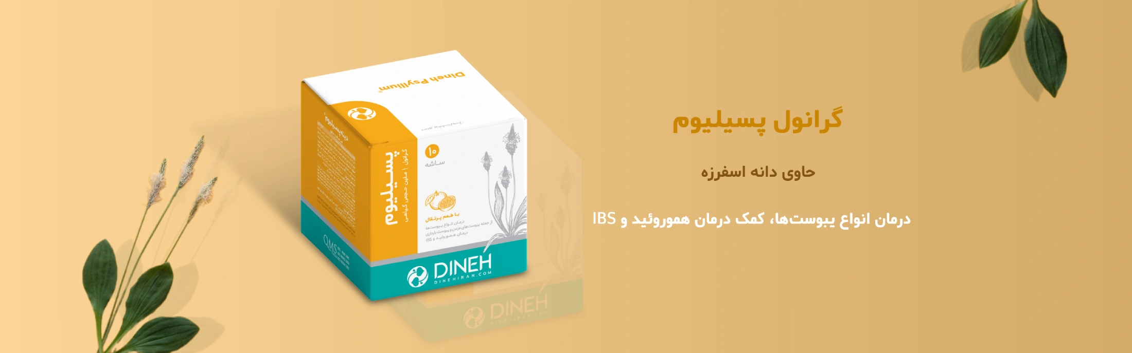 خرید پودر پسیلیوم دینه - ملین گیاهی
