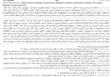 بروشور جینگو بی زد دینه