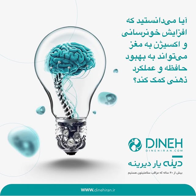 بهبود عملکرد حافظه با افزایش خونرسانی و اکسیژن به قلب