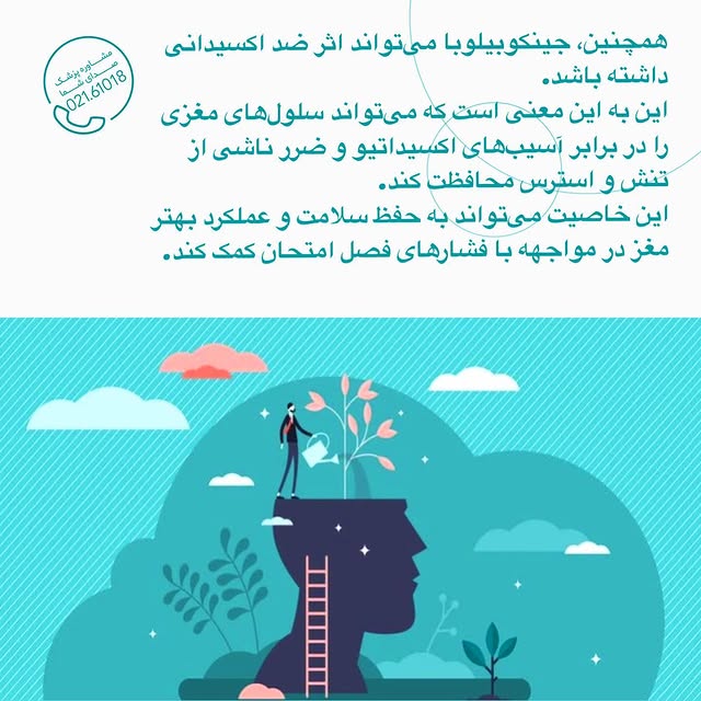 خاصیت آنتی اکسیدانی گیاه جنکیگو بیلوبا