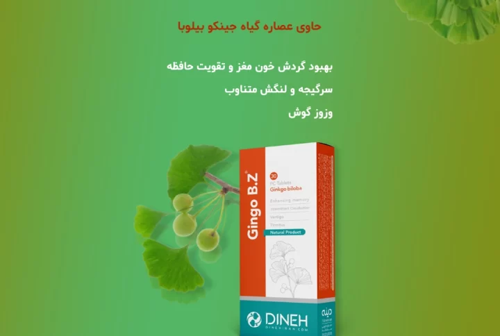 خواص درمانی و ترکیبات قرص گیاهی جینگو بی زد دینه