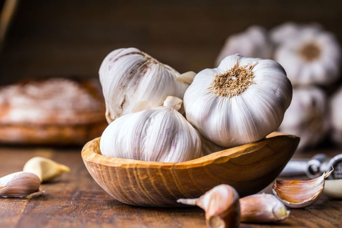 سیر یکی از گیاهان دارویی