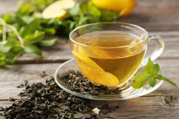 چای سبز یکی از گیاهان دارویی