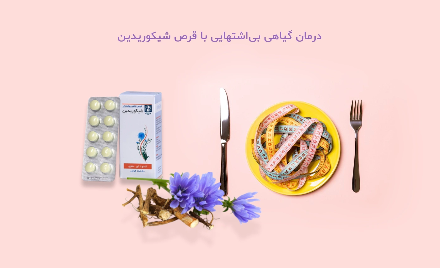 قرص گیاهی اشتهاآور و مقوی بدن - شیکوریدین