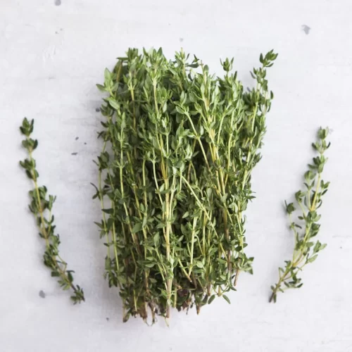 گیاه آویشن