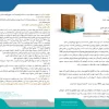 پودر دینه برن گندم