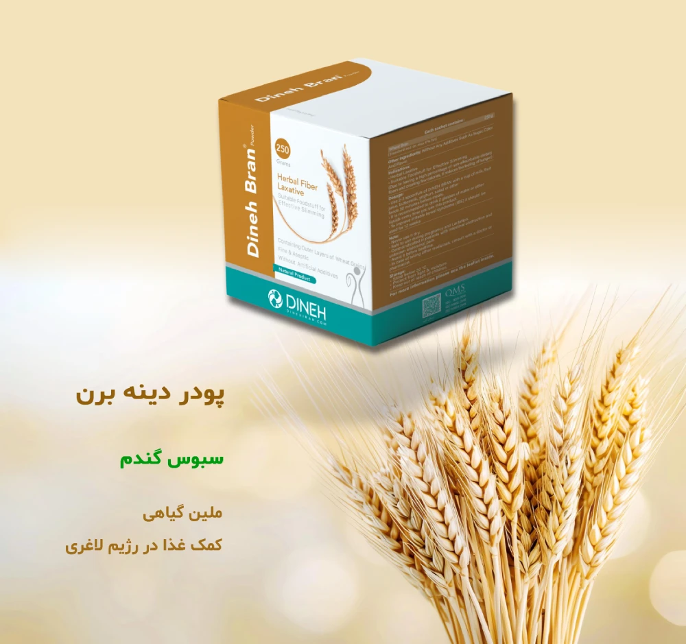دینه برن