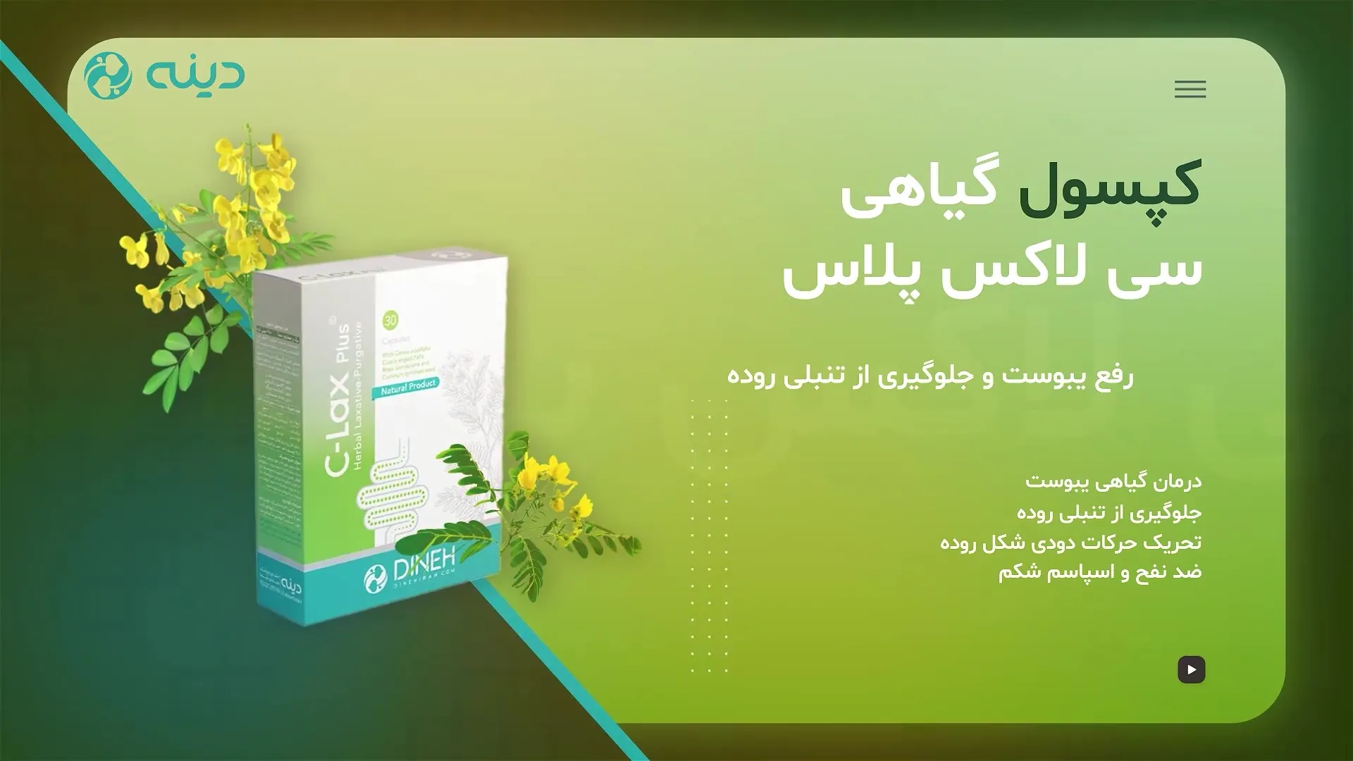 خرید داروی برگ سنا برای روده کم کار