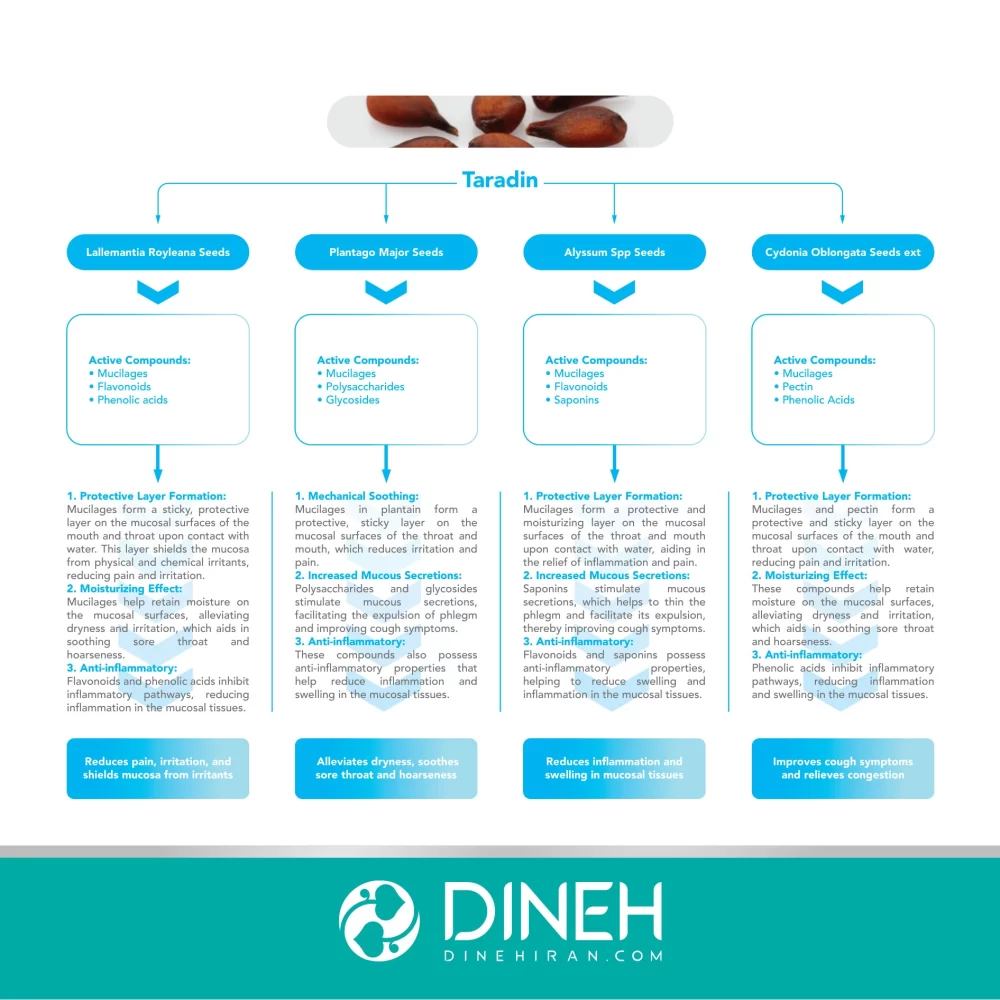 دانلود کاتالوگ تارادین