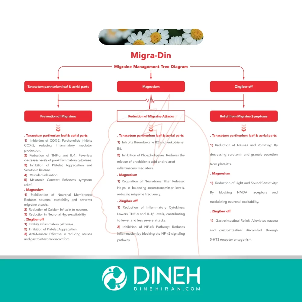 بروشور میگرا-دین