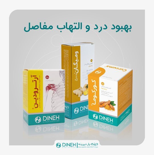 آرترودین