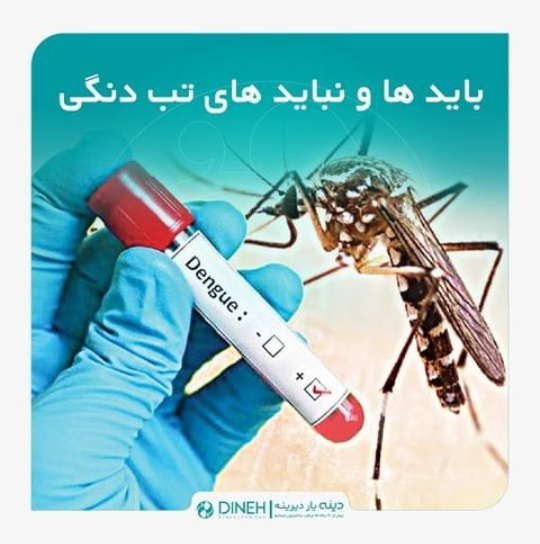 dengue fever