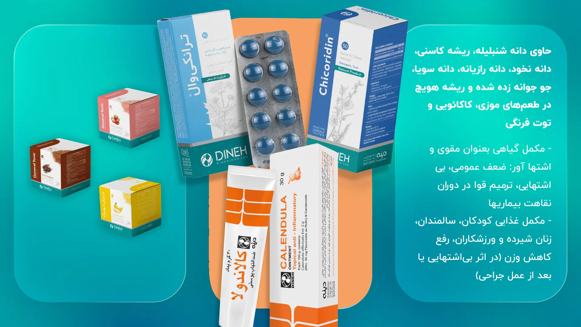 ویدئوی راهنمای انتخاب بهترین داروی گیاهی دینه با توجه به نوع بیماری