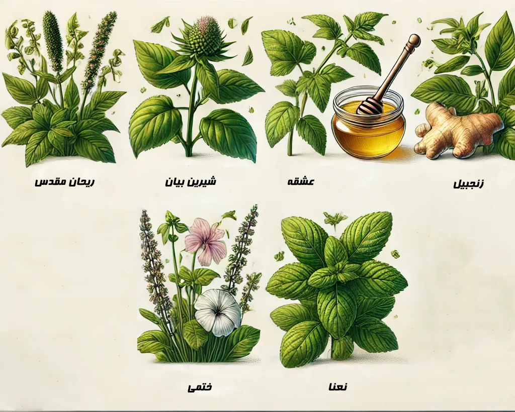 مهمترین گیاهان برای تهیه شربت سرفه