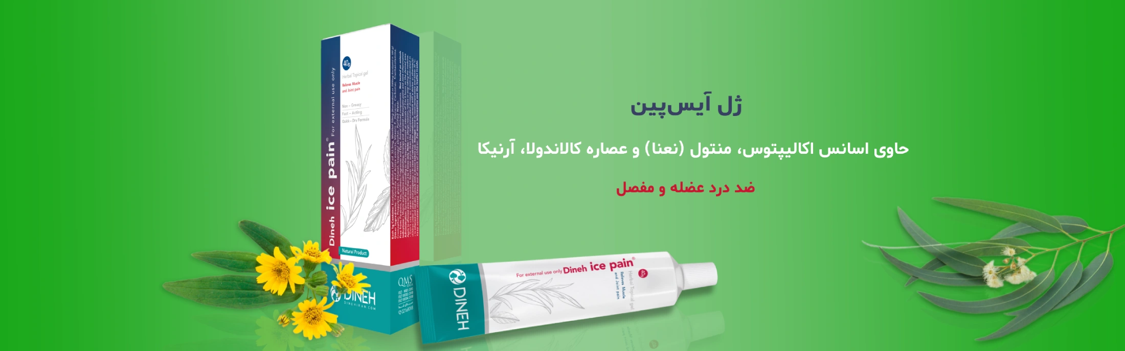 Icepain gel - کرم خنک کننده بدن و تسکین درد موضعی
