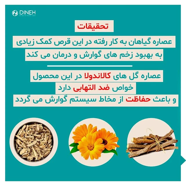 Herbal pills for stomach and duodenal ulcers