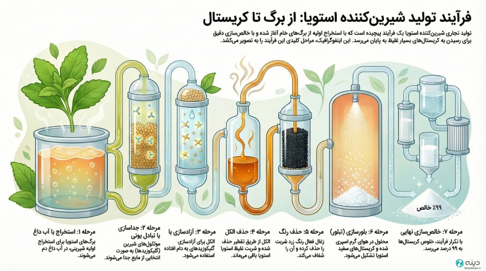 اینفوگرافی تولید استویا: از عمل آوری برگ تا کریستال خالص