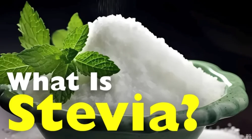 فیلم آموزشی قند استویا