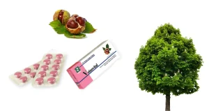 خواص شاه بلوط هندی