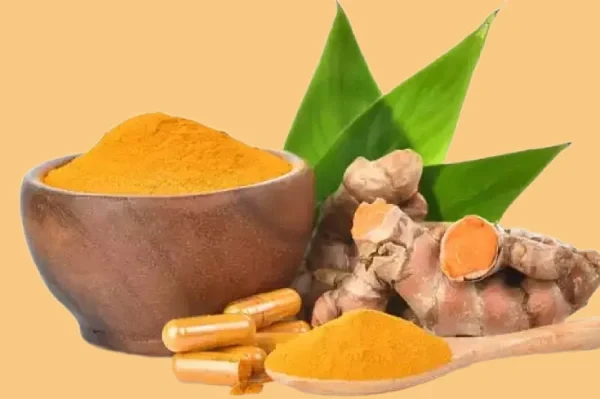 نام علمی کورکوما لونگا