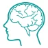 brain nerve