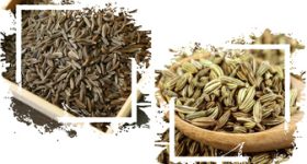 زیره سبز و زیره کوهی