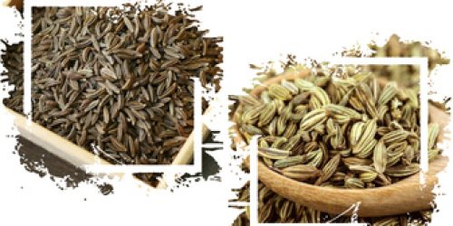 زیره سبز و زیره کوهی