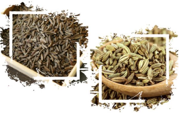 زیره سبز و زیره کوهی