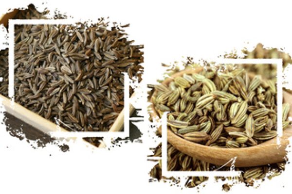 زیره سبز و زیره کوهی