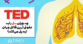 سل عفونی ترین قاتل جهان