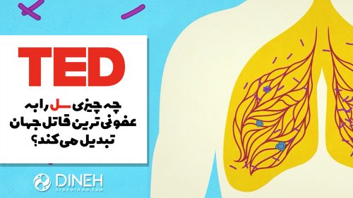 سل عفونی ترین قاتل جهان