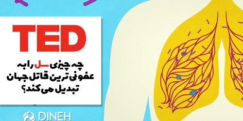 سل عفونی ترین قاتل جهان