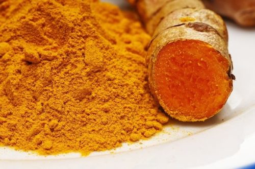 عکس ریزوم زردچوبه